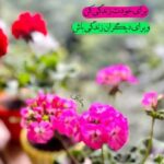 دانلود آهنگ مهستی به نام جنگ جهانی (سبد سبد ستاره روی سرت میریزم)